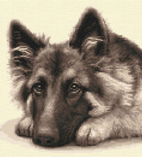 GERMAN SHEPHERD DOG, pup