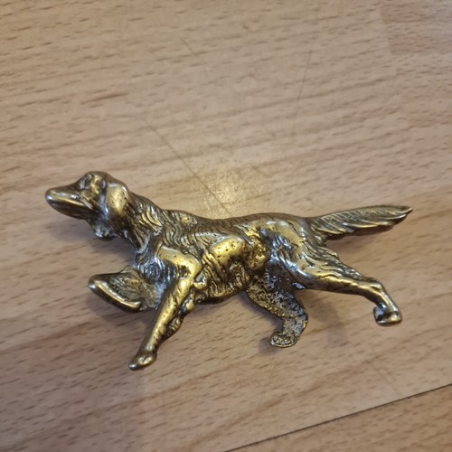 Irish setter dog - dog, brass