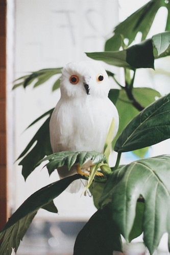 Puebco artificial bird - artificial,