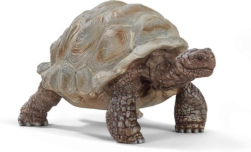 Wild life giant tortoise toy - life,