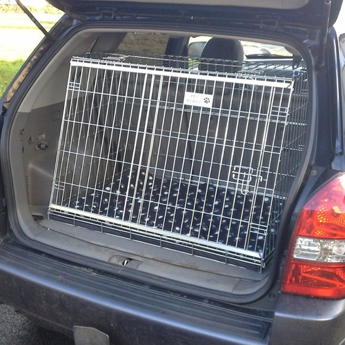 Pet world hyundai tucson - pet,