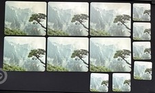 6X 23X19cm Table Dinner