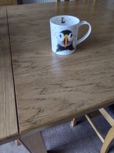 Dunoon puffins fine bone - dunoon,