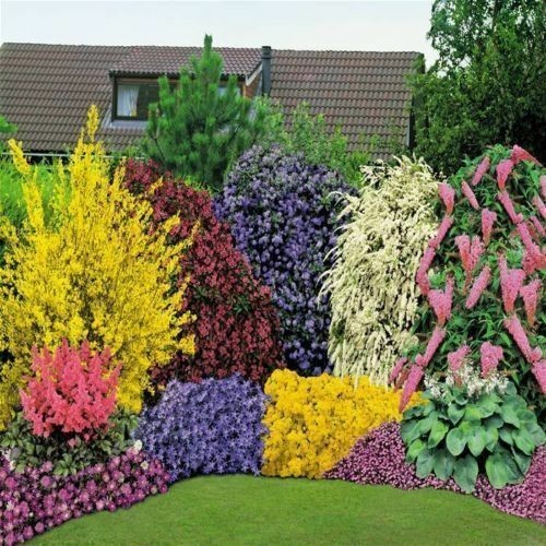 Five assorted garden ready - five,