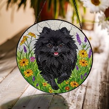 Black Pomeranian Wildflower