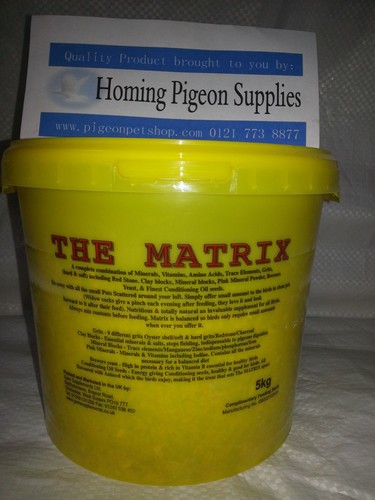Gem matrix pigeon - gem,