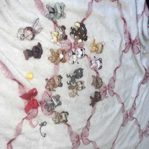 100 littlest pet - £100,