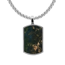 Silver Tone Men's Dog Tag Necklace - Moss Agate Style Resin