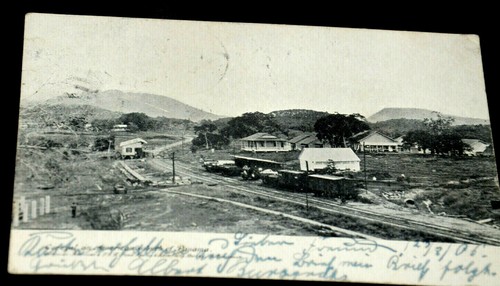 53865 corozal american - ak,