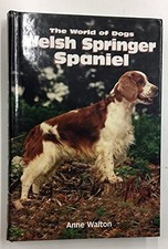 The Welsh Springer Spaniel