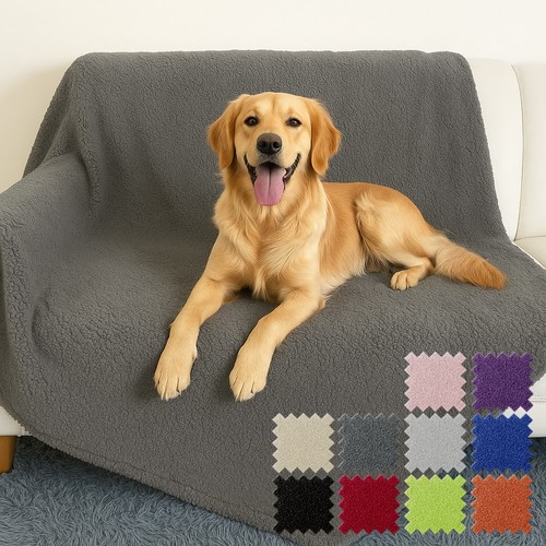 Pet dog cat - dog, fleece