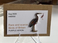 RSPB Interest PURPLE HERON SGW enamel BIRD pin badge  limited number  
