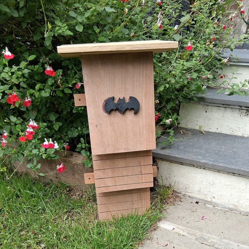 Bat box unique hand crafted - bat,