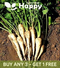 VEGETABLE PARSNIP SEEDS - 500