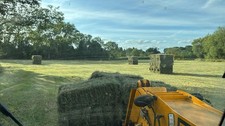 Premium meadow hay - , bale