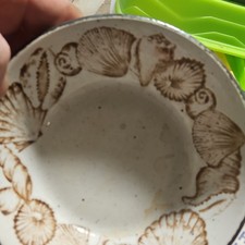 Midwinter Stonehenge Shells