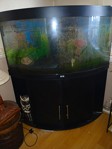 Bowfront glass freshwater - bowfront,