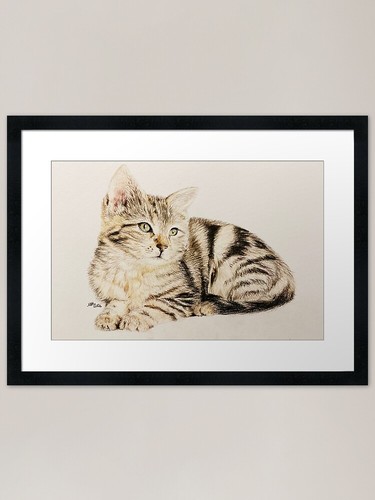Cute little tabby - kitten, |