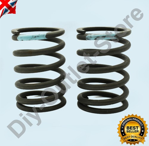 Outer valve spring - valve, pair