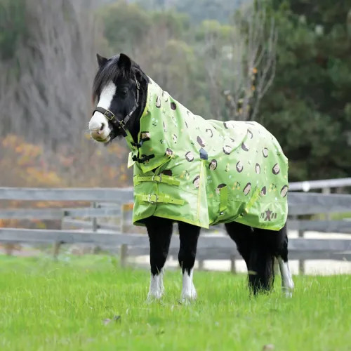 Saxon 600d pony - saxon, 0g