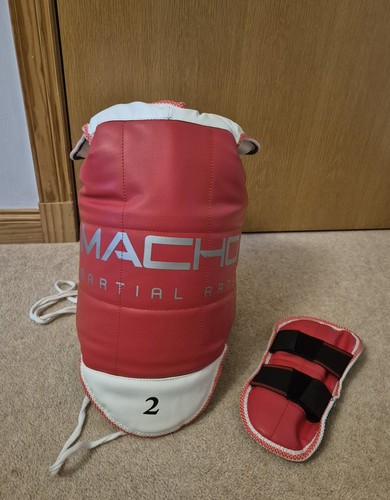 Taekwondo sparring body - taekwondo,