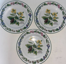3 x Royal Worcester Worcester