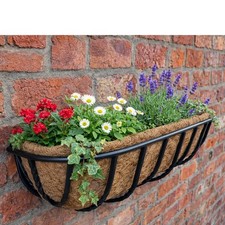 Wall mounted planter - mounted, flower