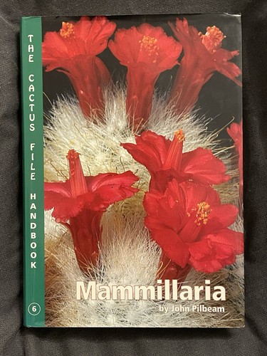 Mammillaria john pilbeam - by,