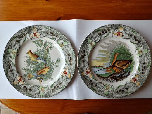 The birds america plates - birds,