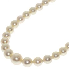 Mikimoto pearl necklace - pearl,