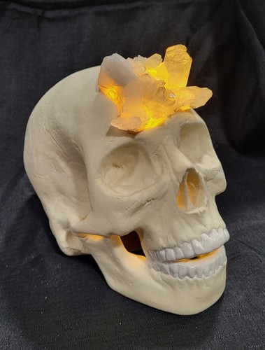 Human skull crystal skulls - skull,