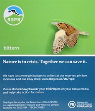 RSPB Pin Badge bittern NIIC