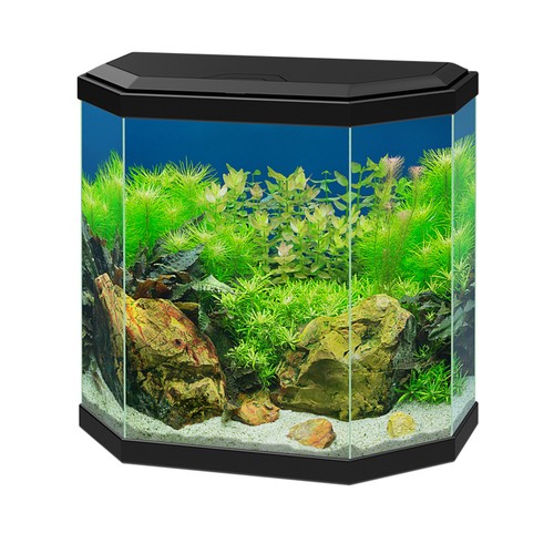 Ciano aqua aquarium - 30,