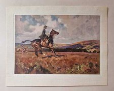 EDWARDS Moorland Gallop