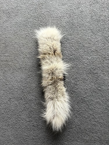Canada goose fur trim only - canada,