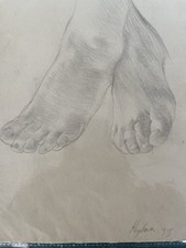 Antique Drawing Anatomy life