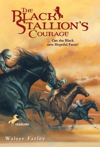 The black stallion - stallion's, courage
