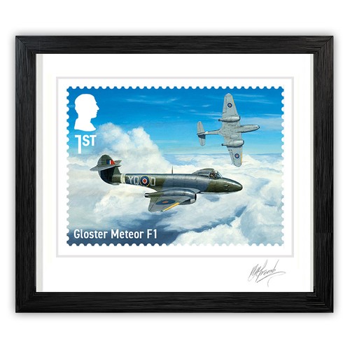 Military jet aircraft signed - aircraft,