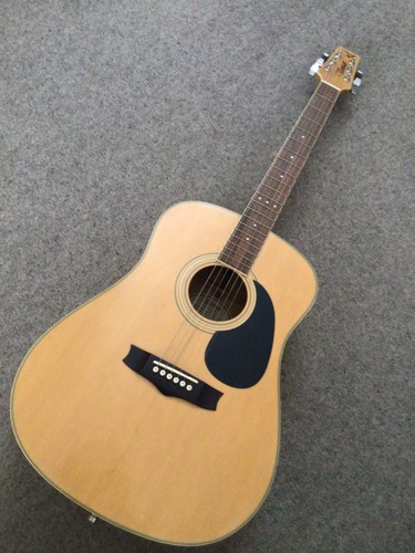 Vantage acoustic guitar - vs-30,