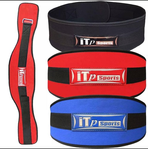 Weight lifting belt gym - lifting,