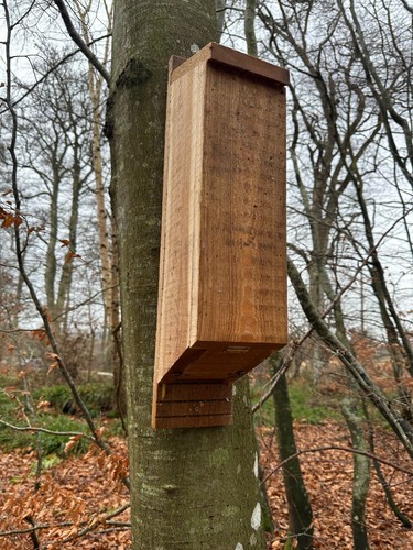 Large timber bat box - timber,