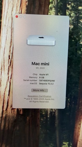 Apple mac mini 512gb - mini, m1