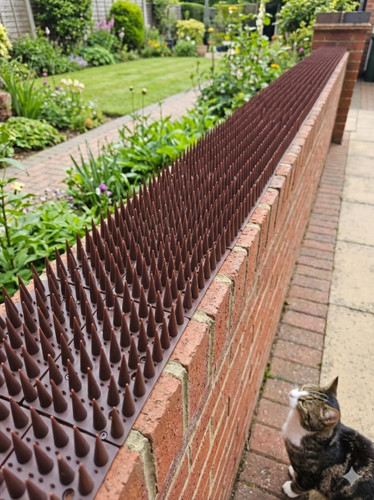 Cat spikes fence - spikes,