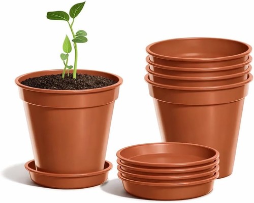 Plant pots with - with, set