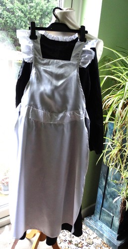 Amscan victorian girl fancy - amscan,