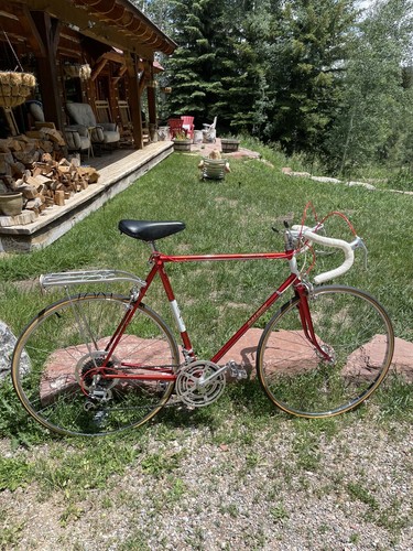 1970 raleigh sun tour tall - raleigh,