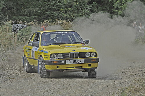 Dave jones bmw woodpecker - jones,
