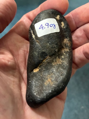 Whale ear bone - bone, fossil