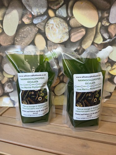 500ml marine phytoplankton - 500ml,