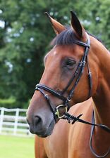 Gallop Leather Padded Bridle, Flash Noseband & Rubber Grip Reins, Black or Brown
